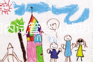 “國內(nèi)試管嬰兒成功率不比國外差” 對話輔助生殖專家：胚胎培養(yǎng)是概率提升關(guān)鍵