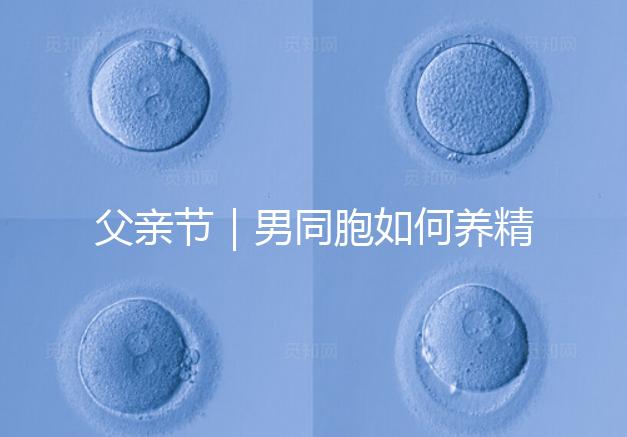父親節｜男同胞如何養精蓄銳，一發即中？