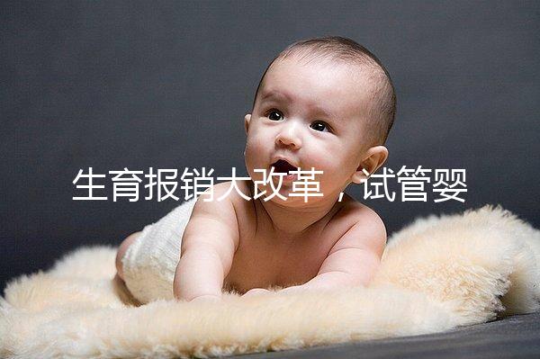 生育報(bào)銷大改革,試管嬰兒等輔助生殖費(fèi)用能納入醫(yī)保嗎