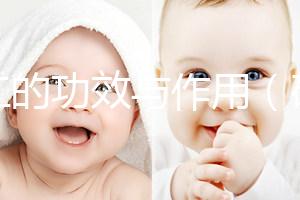 砂仁的功效與作用(砂仁是祛濕熱還是濕寒)