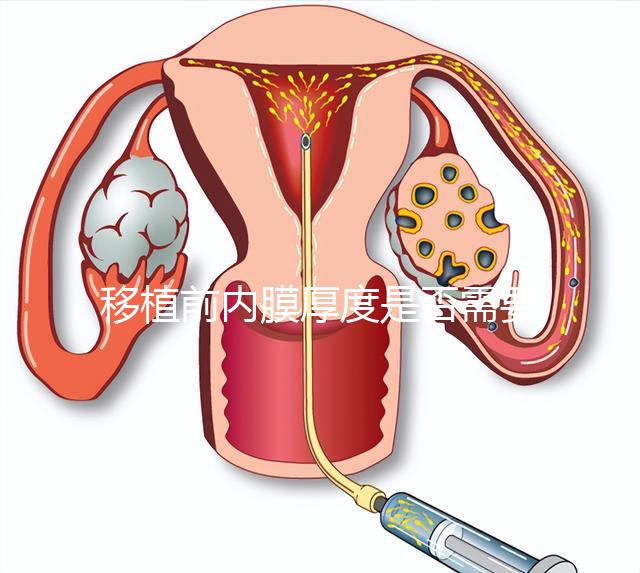 移植前內(nèi)膜厚度是否需要降調(diào),應(yīng)注意什么速度