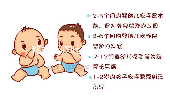 移植后嘔吐是怎么回事？這3大原因別忽視，選對治療方案可促著床！