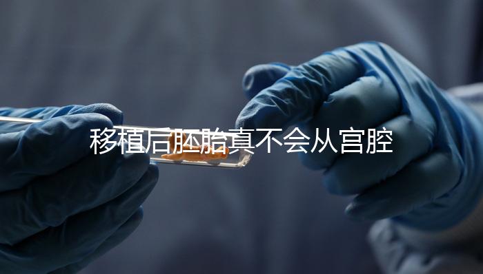 移植后胚胎真不會從宮腔掉出來！原因有這些...