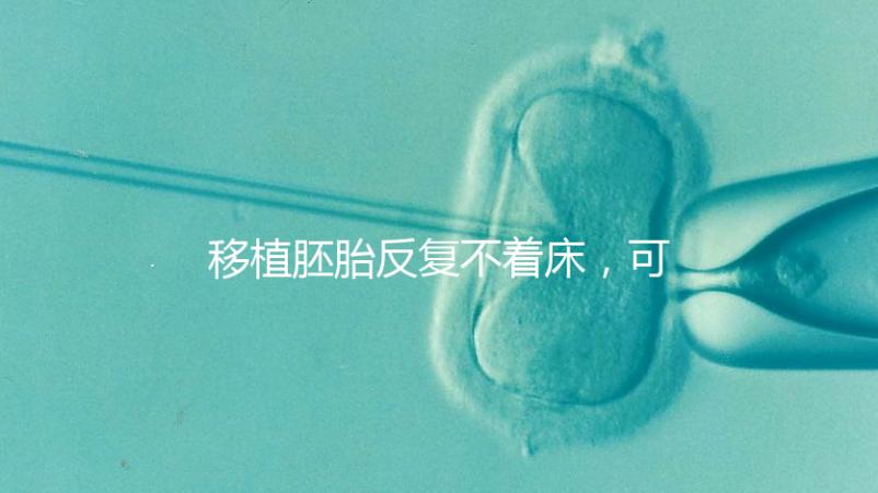 移植胚胎反復不著床，可能是這些原因造成的！