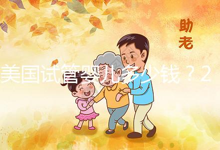 美國試管嬰兒多少錢?2025年新費用明細及省錢攻略