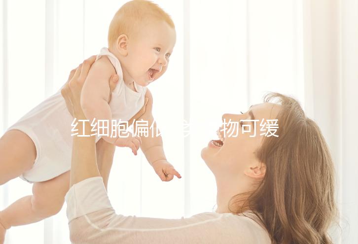 紅細胞偏低3類食物可緩解,2類食物可進行調(diào)理