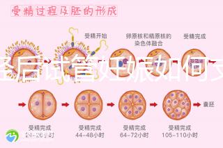 絕經(jīng)后試管妊娠如何支持黃體戳，醫(yī)生：掌握時(shí)間很重要