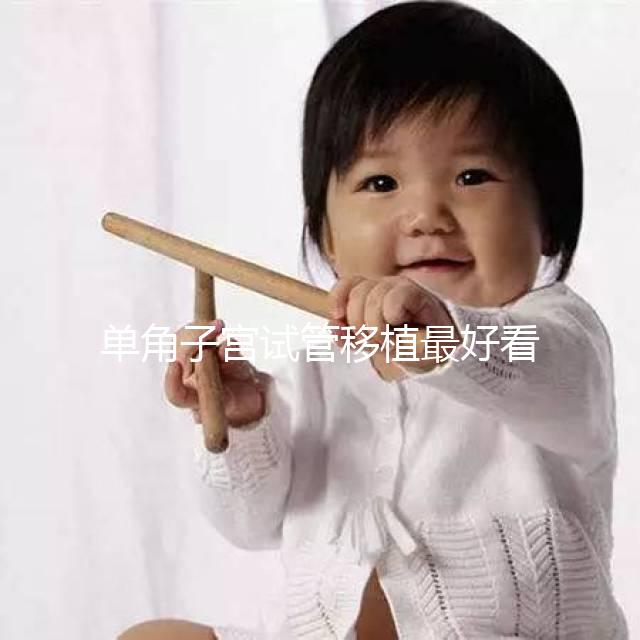 單角子宮試管移植最好看這個,兩個胚胎一目了然