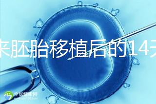 原來胚胎移植后的14天，這些信號(hào)預(yù)示著床成功