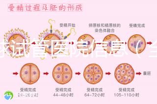 全球試管醫院信息(全球試管醫院排名)