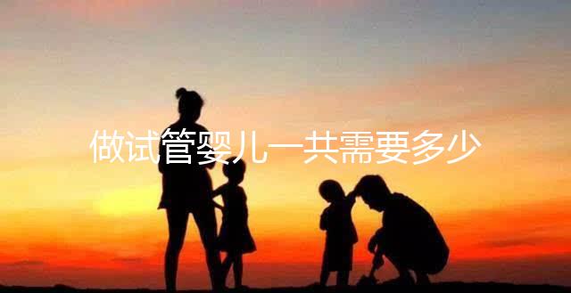 做試管嬰兒一共需要多少錢？