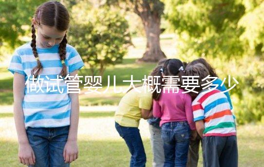 做試管嬰兒大概需要多少錢?2024年全國試管嬰兒費用標(biāo)準(zhǔn)詳單!