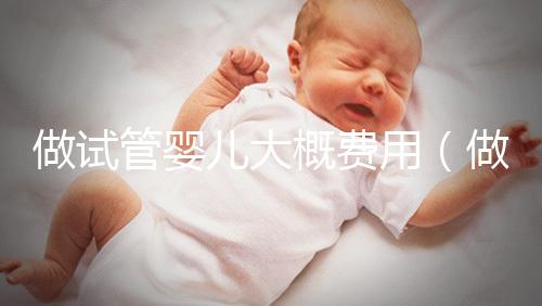 做試管嬰兒大概費(fèi)用(做試管嬰兒大概費(fèi)用多少)