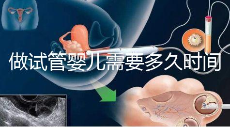 做試管嬰兒需要多久時間費用大概要多少錢