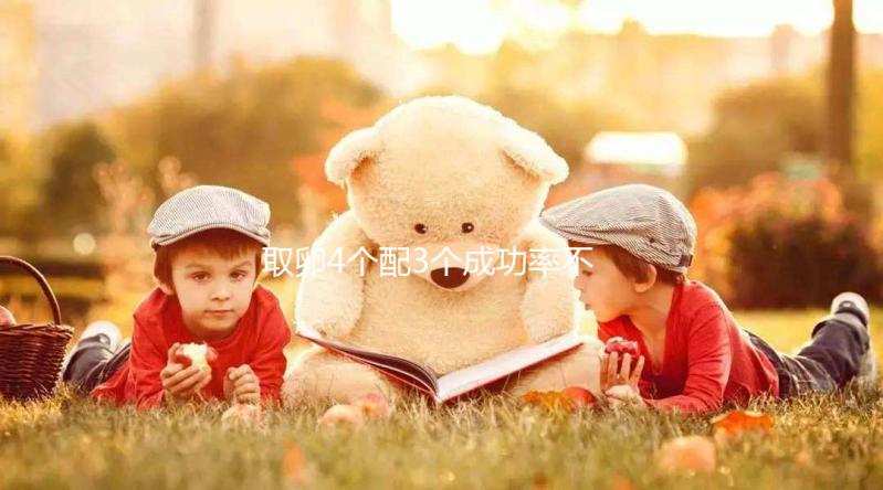 取卵4個配3個成功率不低，養出優質胚胎做試管好孕機會更大