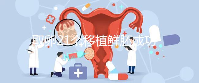 取卵21個移植鮮胚成功率真不低，前提：等卵巢恢復后再手術