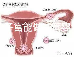 雙角子宮能做試管嬰兒嗎？可以，但這2大條件缺一不可