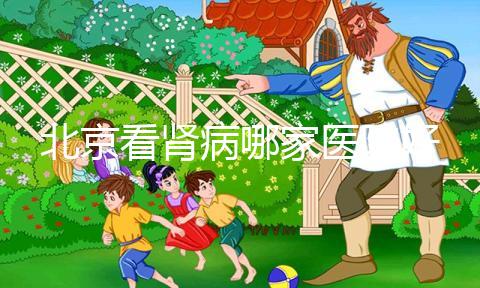 北京看腎病哪家醫(yī)院好