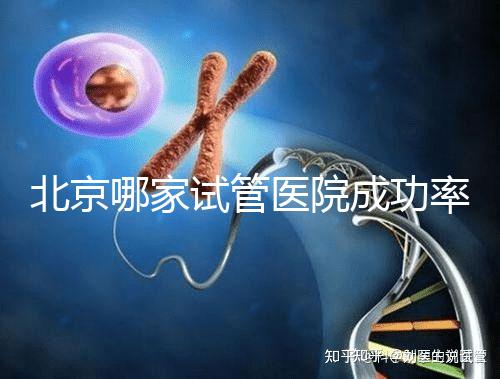 北京哪家試管醫(yī)院成功率最高?