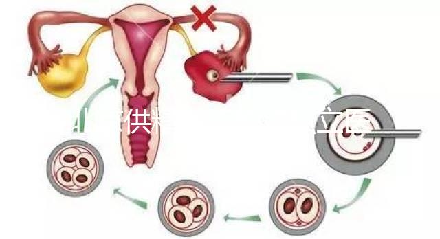 北京供精人工授精私立醫(yī)院排名表來(lái)了！哪個(gè)好看就知道了？