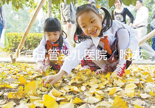 北京試管嬰兒醫(yī)院，附成功率、費用