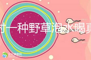 農村一種野草泡水喝真能治便秘！配合這九種中草藥效果更好