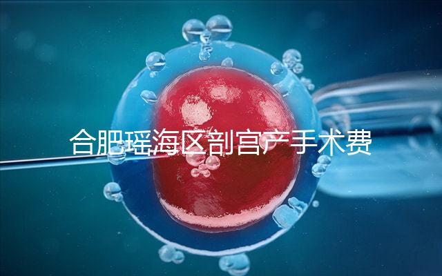 合肥瑤海區(qū)剖宮產(chǎn)手術(shù)費(fèi)不便宜!生育保險(xiǎn)報(bào)銷(xiāo)多少2024有變