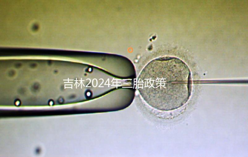 吉林2024年三胎政策最新消息分析,二道、綠園三孩規定出爐