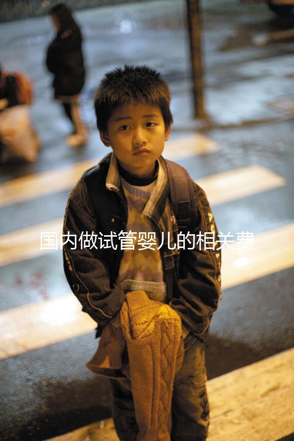 國內(nèi)做試管嬰兒的相關(guān)費(fèi)用、條件、指征