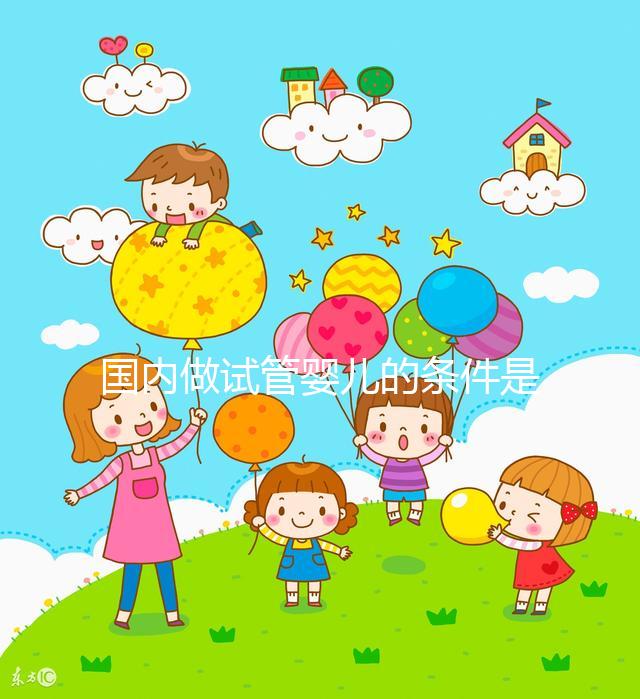 國(guó)內(nèi)做試管嬰兒的條件是什么,有什么要求?