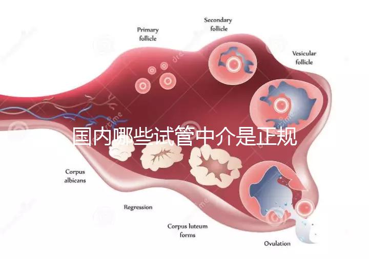 國內哪些試管中介是正規的看過來，可不止北京百匯這一家