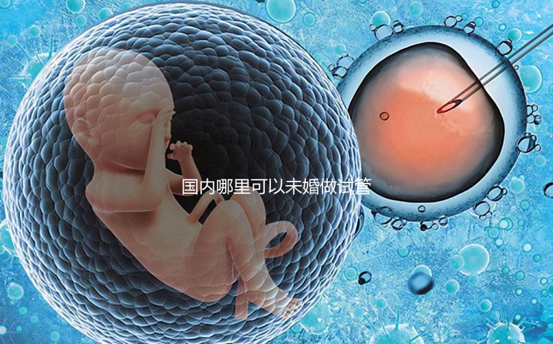 國(guó)內(nèi)哪里可以未婚做試管？大概要花多少錢？