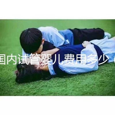 國內(nèi)試管嬰兒費用多少(國內(nèi)試管嬰兒費用多少錢)