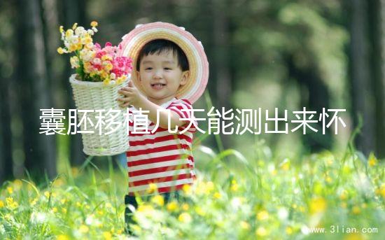 囊胚移植幾天能測(cè)出來(lái)懷孕？