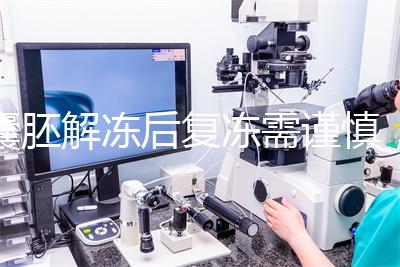 囊胚解凍后復(fù)凍需謹(jǐn)慎,這些對胚胎質(zhì)量的影響不可不知