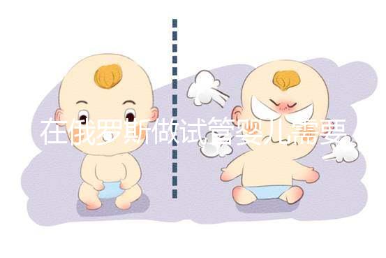 在俄羅斯做試管嬰兒需要什么條件？這四個條件缺一不可