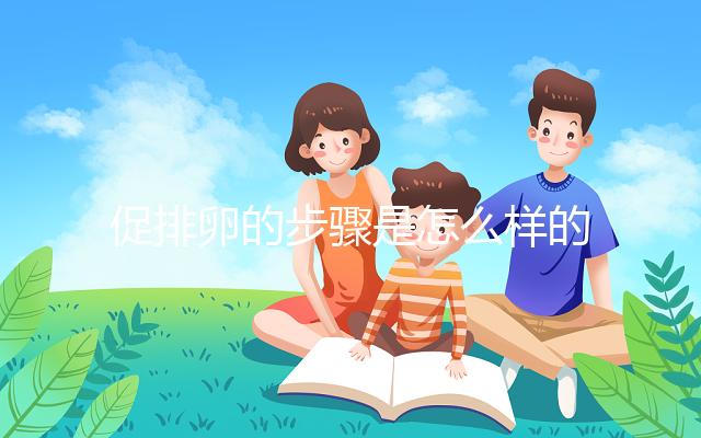 促排卵的步驟是怎么樣的？你想要了解的治療過程在這里