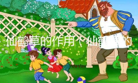 仙鶴草的作用(仙鶴草的作用與功效)