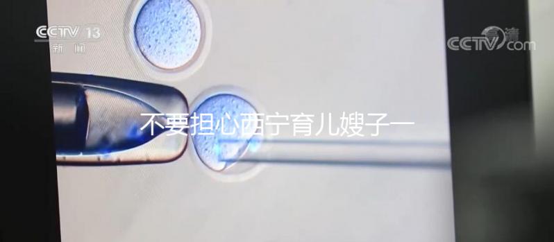 不要擔(dān)心西寧育兒嫂子一個(gè)月多少錢，關(guān)心機(jī)構(gòu)是否正式