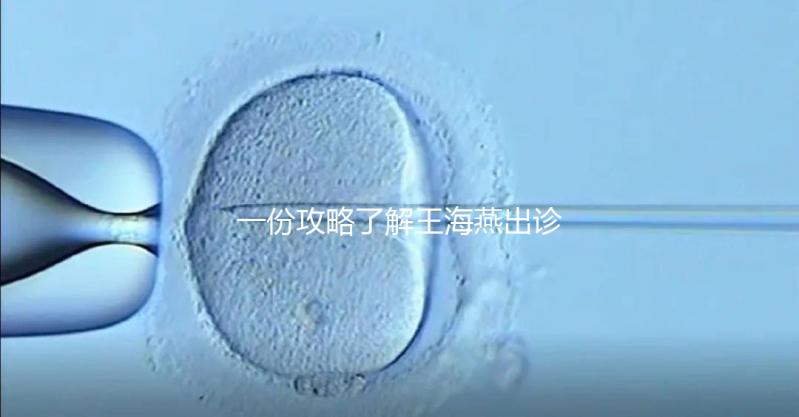 一份攻略了解王海燕出診表，讓你在北醫三院掛號更簡單