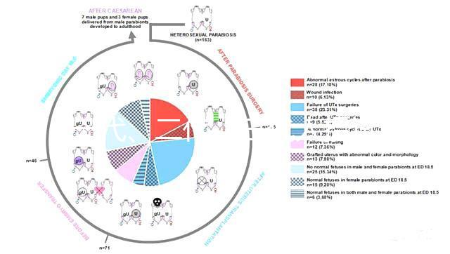 一代、二代、三代人授試管的區(qū)別全在這里！還有第四代試管技術(shù)！