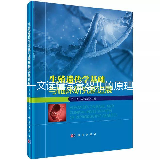 一文讀懂試管嬰兒的原理:點(diǎn)亮生命希望的科技之光