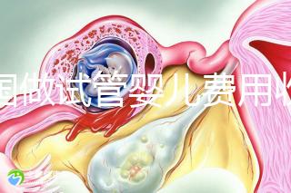中國做試管嬰兒費用收費價目表一覽，包含具體成本預算