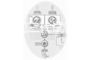 中國正規三代試管嬰兒機構名單，2025生殖機構排名參考