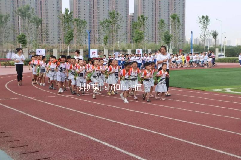 排卵期fsh和lh比值對(duì)照參考表速覽,大于2小于3真不正常