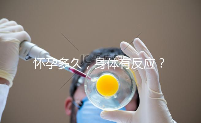 懷孕多久，身體有反應(yīng)？