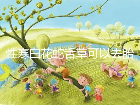 性寒白花蛇舌草可以去胎毒別亂吃!小心流產找上門