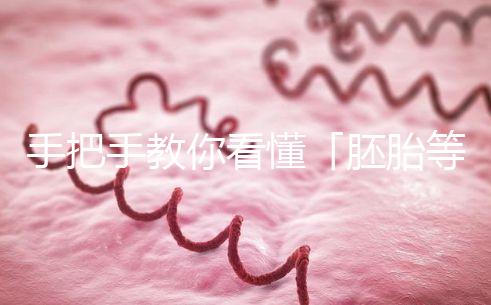 手把手教你看懂「胚胎等級(jí)報(bào)告」,不做試管嬰兒懵星人