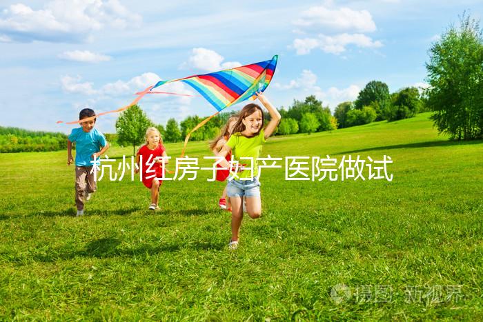 杭州紅房子婦產醫院做試管嬰兒需要多少錢？2025試管價目表曝光（含檢查、促排、移植全流程費用明細）