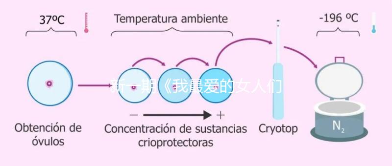 新一期《我最愛的女人們》,蔡少芬自曝第一胎曾小產(chǎn)